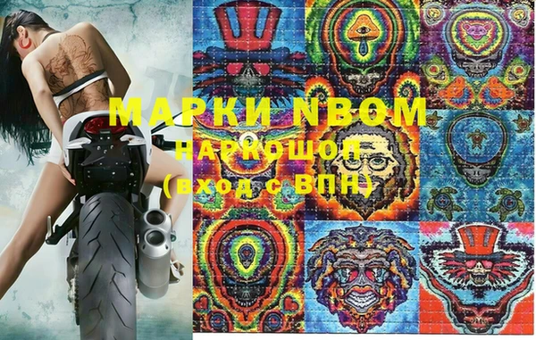прущие грибы Алексеевка